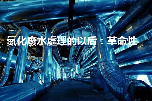 氮化廢水處理的以后：革命性技術(shù)與挑戰(zhàn)并存！